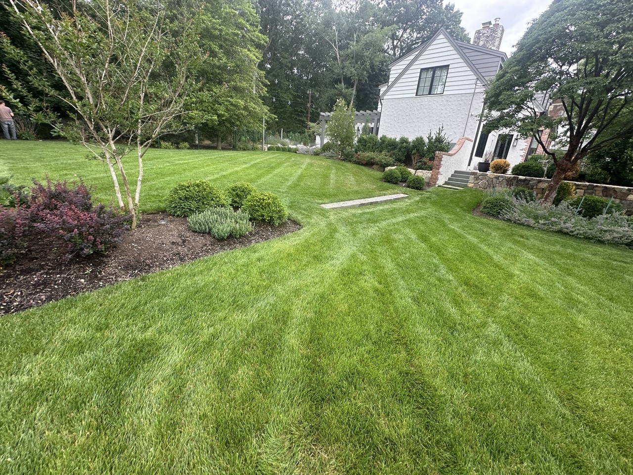 Lawn Maintenance