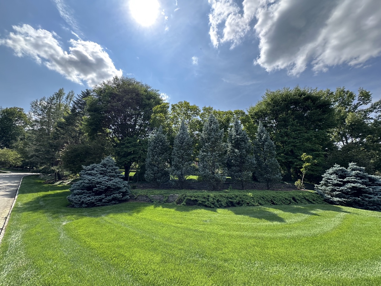Plantings & Softscaping