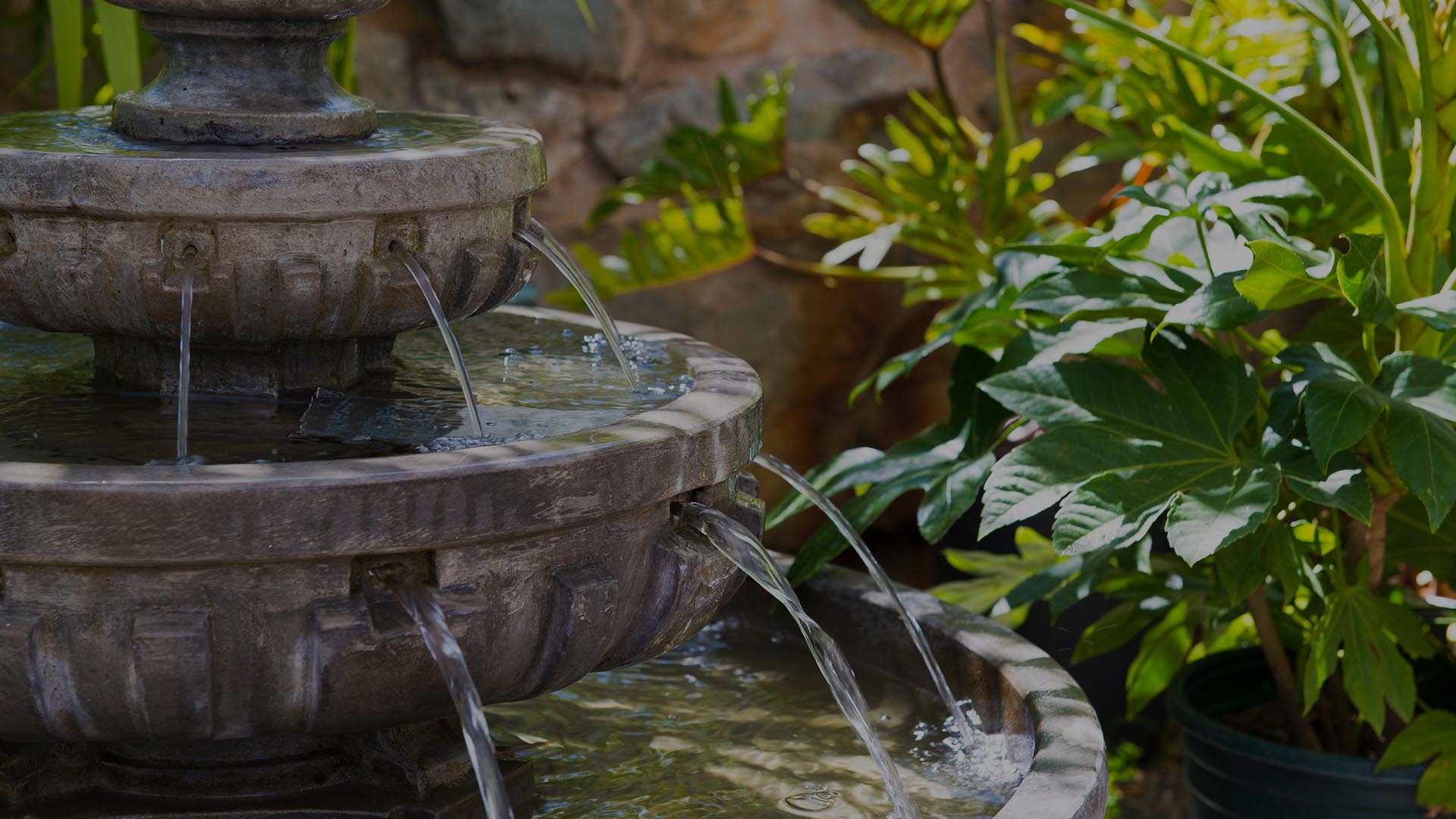 Water Feature Banner Image